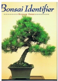 BONSAI IDENTIFIER. 40 MAIN SPECIES DESCRIBED AND ILLUSTRATED