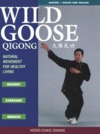 WILD GOOSE QIGONG: HISTORY, EXERCISE, RESULTS