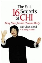 THE 16 SECRETS OF CHI:FENG SHU FOR THE HUMAN BODY